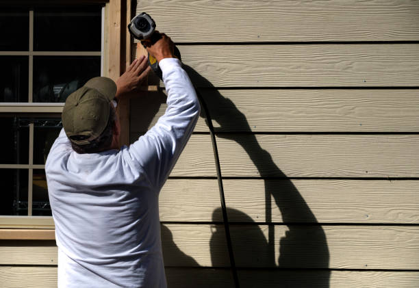 Best Siding Painting and Refinishing  in Stephens City, VA